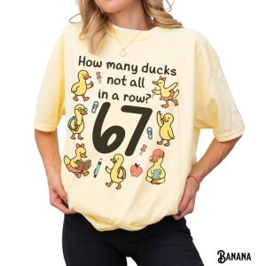 Funny Teacher T-Shirt: Ducks in a Row, 6 7 Meme